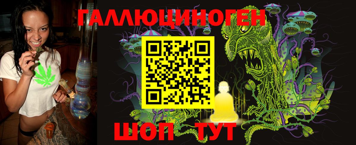 Псилоцибиновые грибы Psilocybe Мариинск