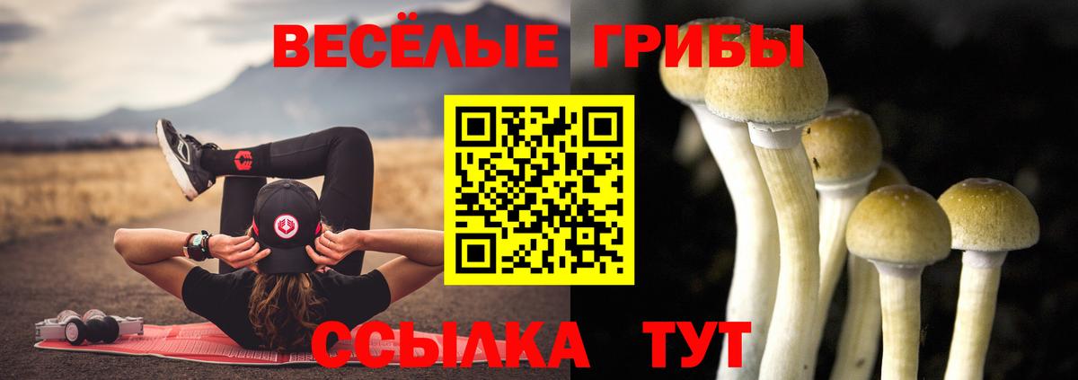 Мариинск  Псилоцибиновые грибы Psilocybine cubensis  Вход с VPN  Галлюциногенные грибы мухоморы 